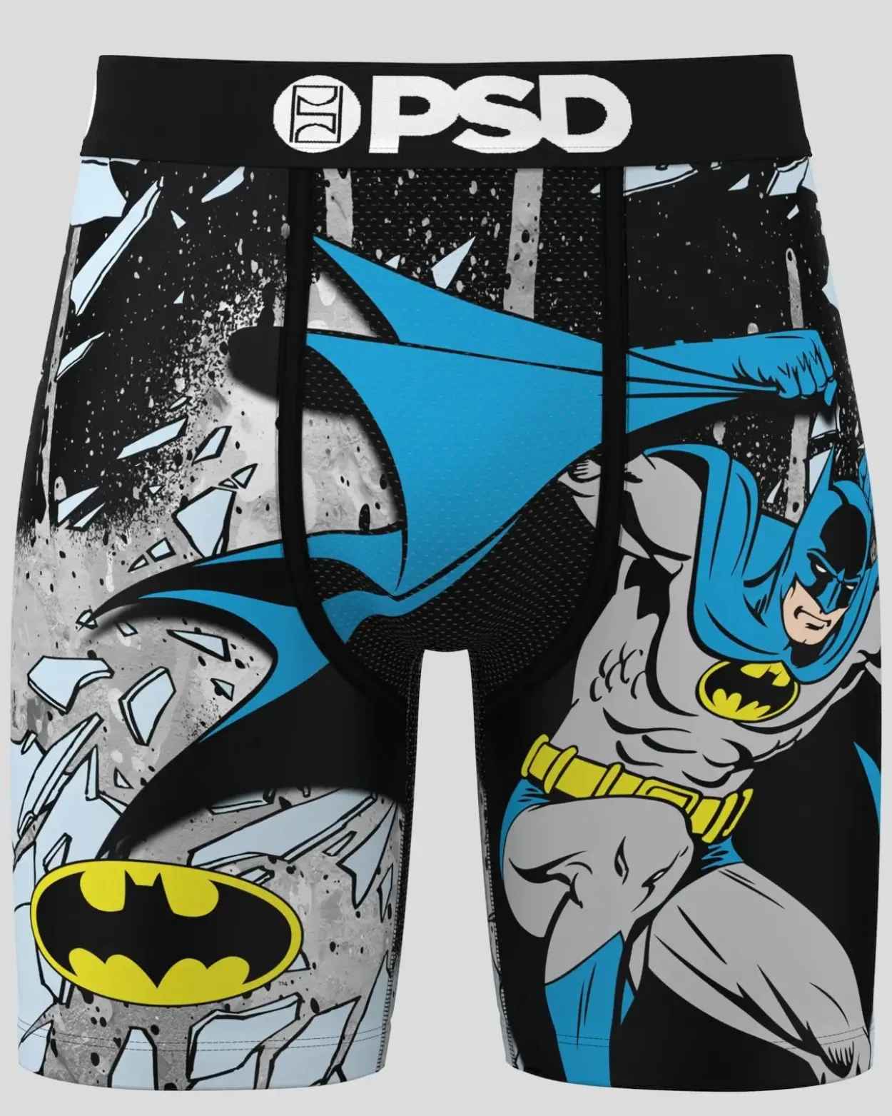 DC - Batman Shatter