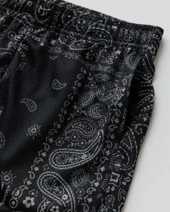 Khaki Paisley