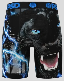 Thunder Panther